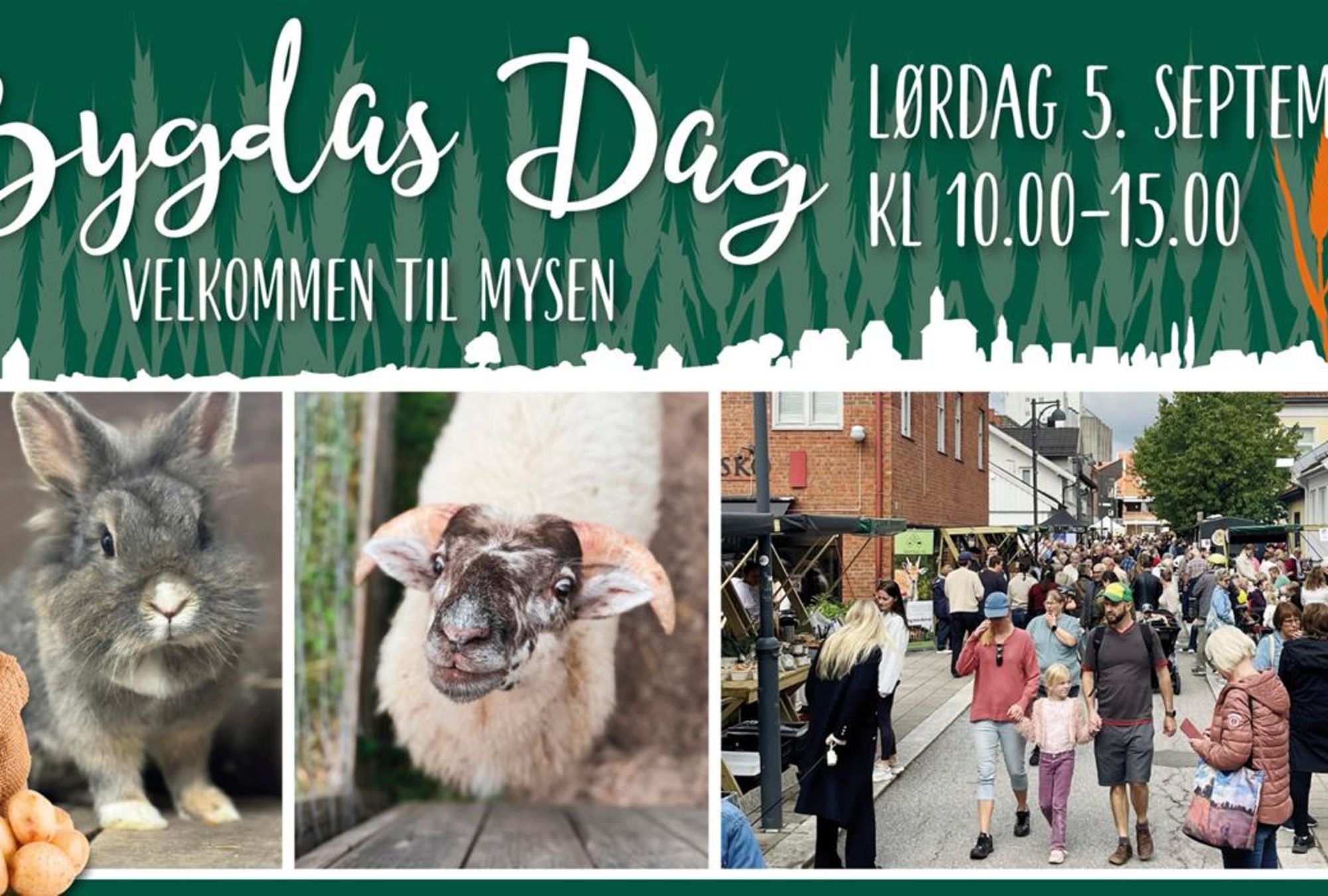 Bygdas dag i Mysen – bilde 1